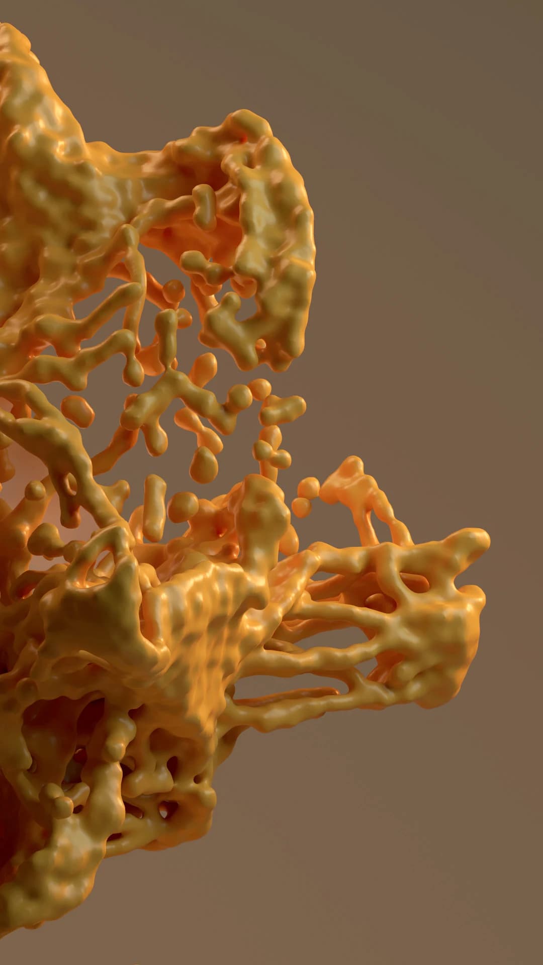 Fluid Type — detalle 14